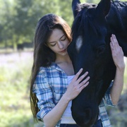 黑神驹 Black Beauty