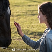 黑神驹 Black Beauty