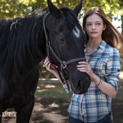 黑神驹 Black Beauty