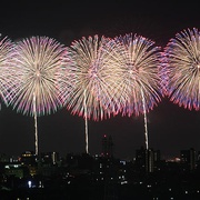 空中之花 长冈花火物语 この空の花～長岡花火物語