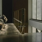 幻影旅程 Fantasma