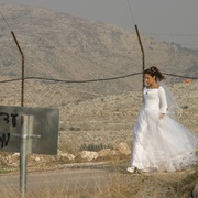 叙利亚新娘 The Syrian Bride