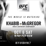 康纳·麦格雷戈：臭名昭著 Conor McGregor: Notorious