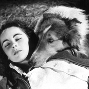 灵犬莱西 Lassie Come Home