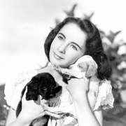 灵犬莱西 Lassie Come Home