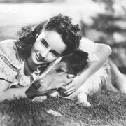 灵犬莱西 Lassie Come Home