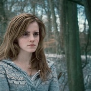 哈利·波特与死亡圣器(上) Harry Potter and the Deathly Hallows: Part 1
