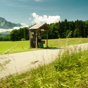 冯·特普之家：音乐人生 The von Trapp Family: A Life of Music