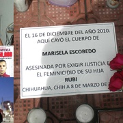 一名母亲的三重死亡 Las tres muertes de Marisela Escobedo