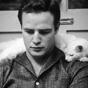 马龙，听我说 Listen to Me Marlon