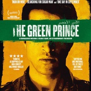 绿色王子 The Green Prince