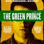 绿色王子 The Green Prince