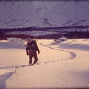 荒野独居 Alone in the Wilderness