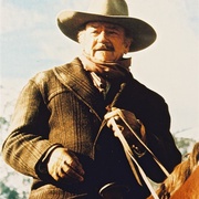 神枪手 The Shootist