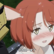 成群结伴！西顿学园 群れなせ！シートン学園