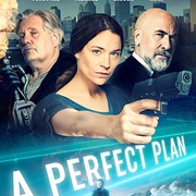 点击查看图片 完美计划 A Perfect Plan
