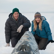 鲸奇 Big Miracle