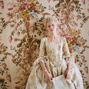 绝代艳后 Marie Antoinette