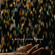 百万碎片 A Million Little Pieces