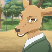 动物狂想曲 第二季 BEASTARS 2nd Season