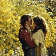 与狼共舞 Dances with Wolves