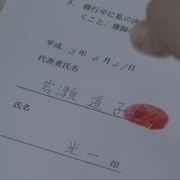 金丝雀 カナリア