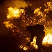 大火将至 O Que Arde
