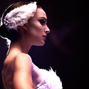 点击查看图片 黑天鹅 Black Swan