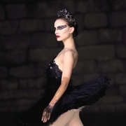 点击查看图片 黑天鹅 Black Swan