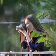迷罪追凶