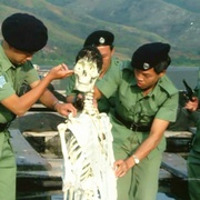 点击查看图片 神算