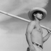 浪潮 Redes