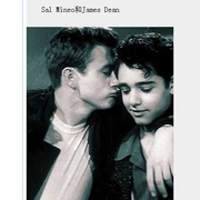 无因的反叛 Rebel Without a Cause