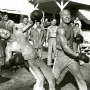 铁窗喋血 Cool Hand Luke