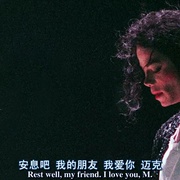 迈克尔·杰克逊：偶像的一生 Michael Jackson: The Life of an Icon