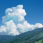 雀斑公主 竜とそばかすの姫