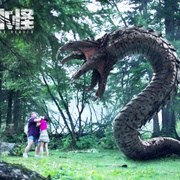长白山天池水怪