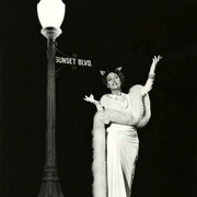 日落大道 Sunset Blvd.