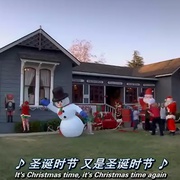 妙狗牵手圣诞节 a christmas wedding tail