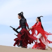 新边城浪子