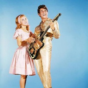 欢乐今宵 Bye Bye Birdie