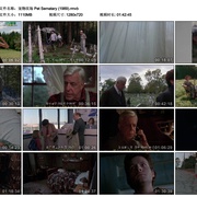 宠物坟场 Pet Sematary