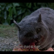宠物坟场 Pet Sematary