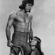 草莽雄风 Apache