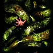 狂蟒之灾2 Anacondas: The Hunt for the Blood Orchid