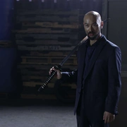 猎鹰突起 Falcon Rising