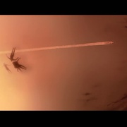 颤栗汪洋2 Open Water 2: Adrift