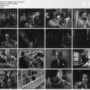 凤阁情鸳 The File on Thelma Jordon