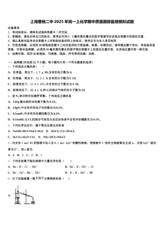 上海曹杨二中2025年高一上化学期中质量跟踪监视模拟试题含解析