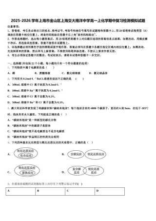 2025-2026学年上海市金山区上海交大南洋中学高一上化学期中复习检测模拟试题含解析